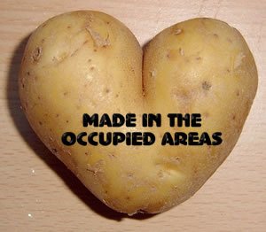 potato