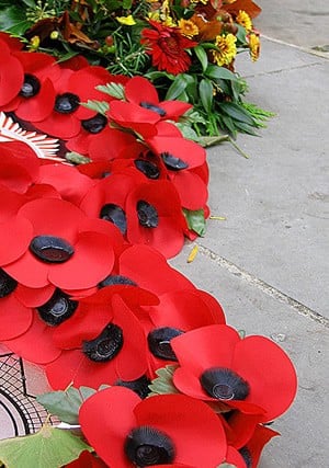 poppy
